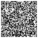QR code with Premier Parking contacts