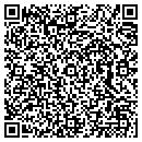 QR code with Tint Masters contacts