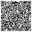 QR code with Chaney's Diary Barn contacts