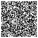 QR code with Pyles Construction Co contacts