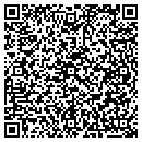 QR code with Cyber Web Smith Inc contacts