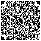 QR code with Pulau Electronics Corp contacts