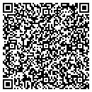 QR code with Cg Improvements LLC contacts