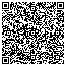 QR code with Public Ice Service contacts