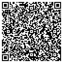QR code with Psi Group Inc contacts