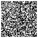 QR code with Preferred Motors contacts