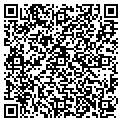 QR code with Alltel contacts