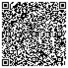 QR code with Babineaux Plumbing contacts