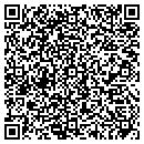 QR code with Professional Handyman contacts