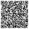 QR code with Shayne contacts