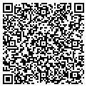 QR code with Wishes contacts