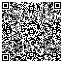 QR code with Colonial Pipeline Co contacts
