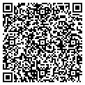 QR code with Attic contacts