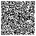 QR code with Angles contacts