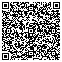 QR code with Dreams contacts