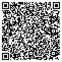 QR code with Bashas' contacts