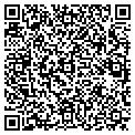 QR code with Bg's Bar contacts