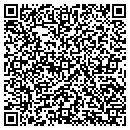 QR code with Pulau Electronics Corp contacts