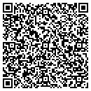 QR code with Pyramid Technologies contacts