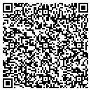 QR code with Process Techs contacts