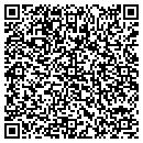 QR code with Premiere IOP contacts