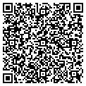 QR code with Availe contacts