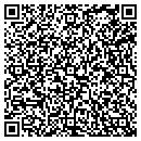 QR code with Cobra Solutions Inc contacts