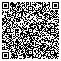 QR code with Silage contacts