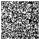 QR code with Castle's Hair Salon contacts