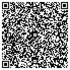 QR code with Brisbi Development LLC contacts