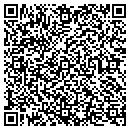 QR code with Public Safety Services contacts
