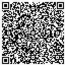 QR code with Public Drier & Storage contacts