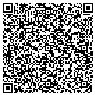 QR code with Spring Creek Auto Sales contacts