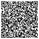 QR code with Professional Temp contacts
