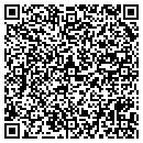 QR code with Carroll Fulmer & Co contacts