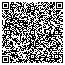 QR code with Bulk Systems Service Inc contacts