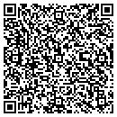 QR code with Precise Title contacts