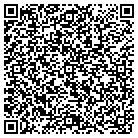 QR code with Professional Engineering contacts