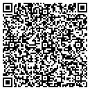 QR code with Professional Roofer contacts