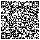 QR code with Puppy Palace contacts