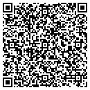 QR code with Cindy A Lessinger MD contacts