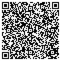 QR code with V F W contacts