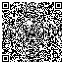 QR code with Blue Diamond Tours contacts