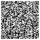 QR code with Brian J Hollis DDS contacts
