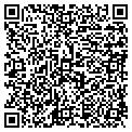 QR code with IBEW contacts