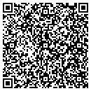 QR code with Pulice Construction contacts