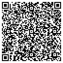 QR code with Carriageway Gallery contacts
