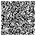 QR code with V Shop contacts