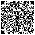 QR code with Motif contacts