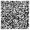 QR code with IBEW contacts